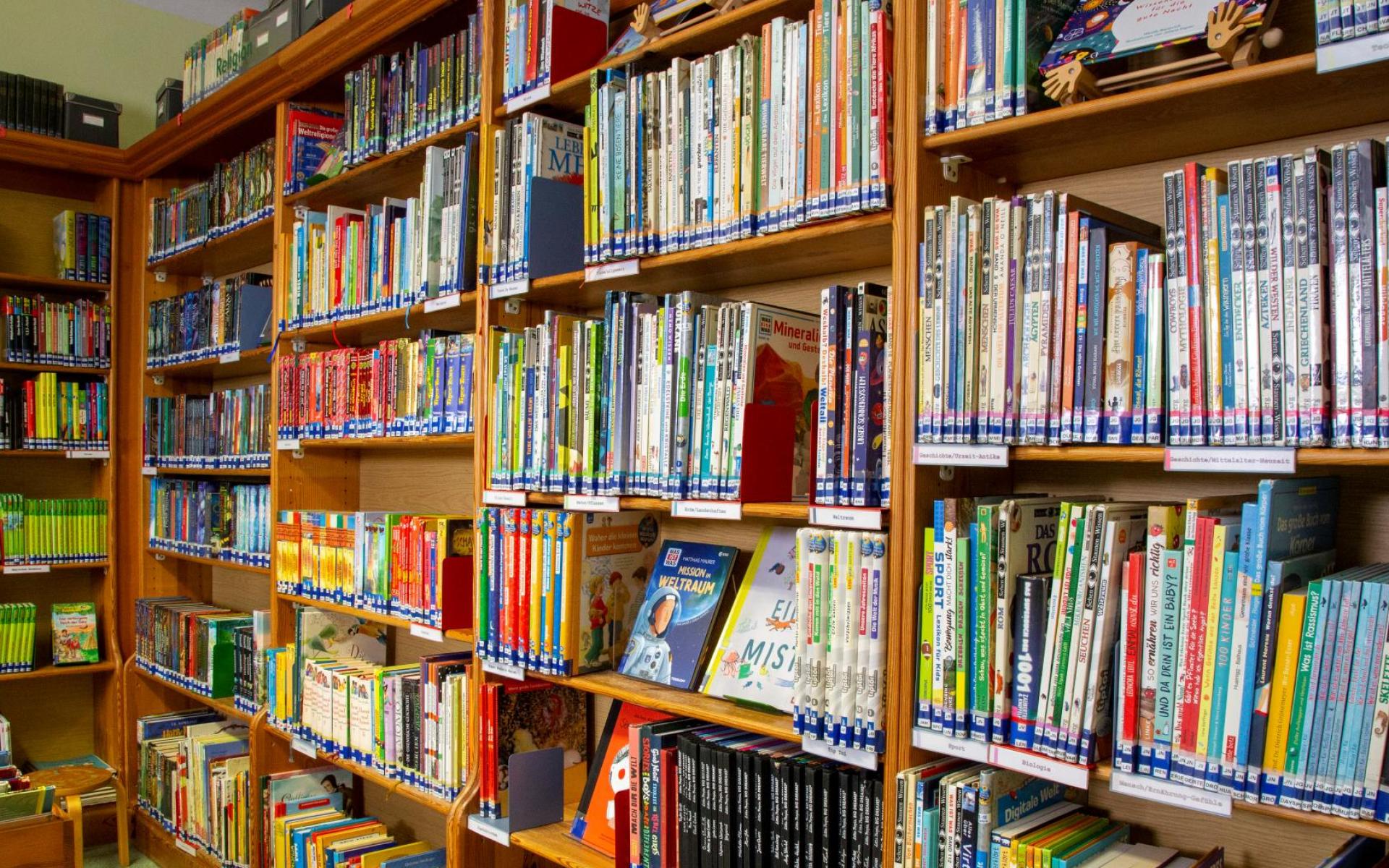 Bücherregal Bibliothek Dobl