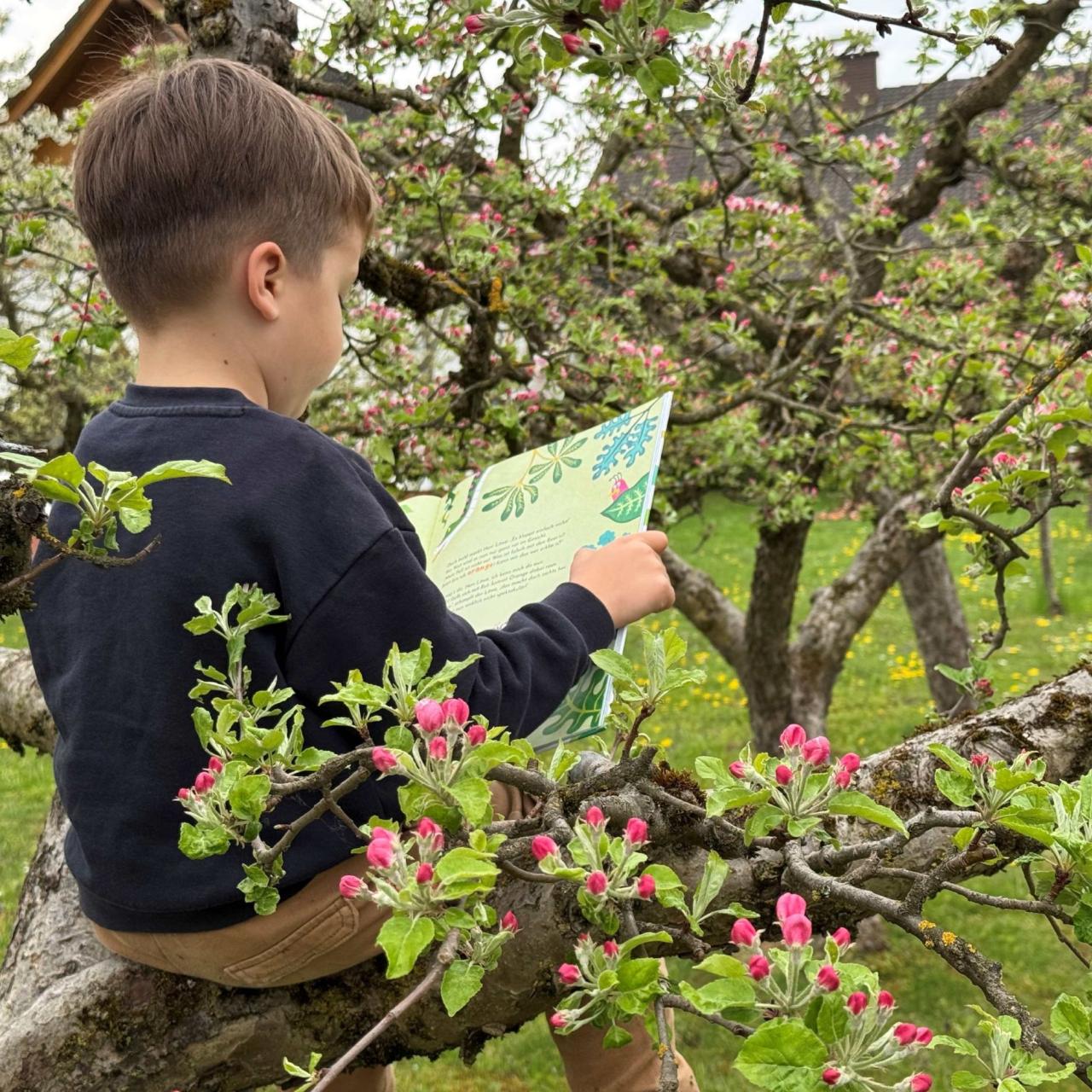 Lesespaziergang Bibliothek Dobl